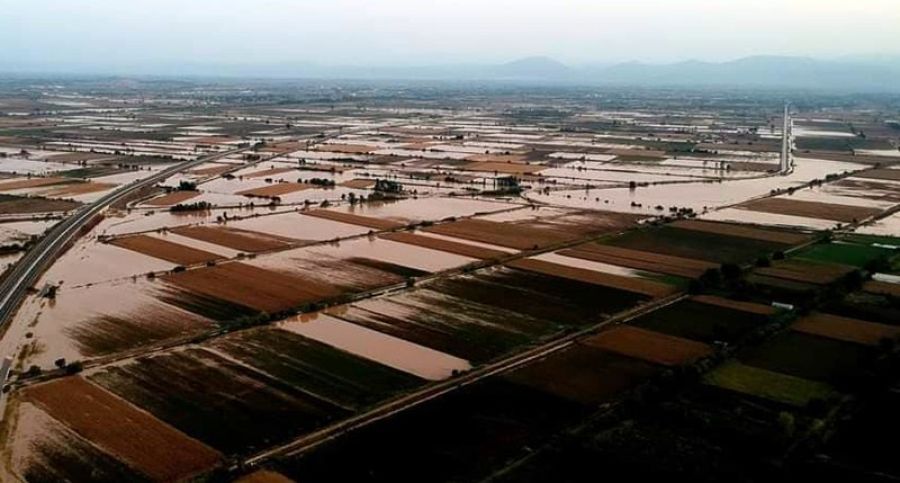 Ανακοίνωση του Δήμου Παλαμά για τις αναγγελίες ζημιάς στον ΕΛΓΑ από την κακοκαιρία Daniel