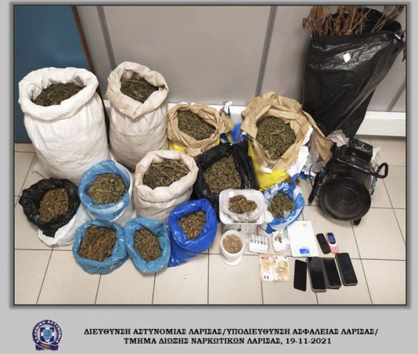 Πέντε συλλήψεις σε ποιμνιοστάσιο στην Αγιά για καλλιέργεια και διακίνηση κάνναβης