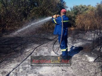 Πυρκαγιά σε χορτολιβαδική έκταση στη Μητρόπολη Καρδίτσας - Αντιμετωπίστηκε άμεσα από την Π.Υ. Καρδίτσας (+Φώτο)