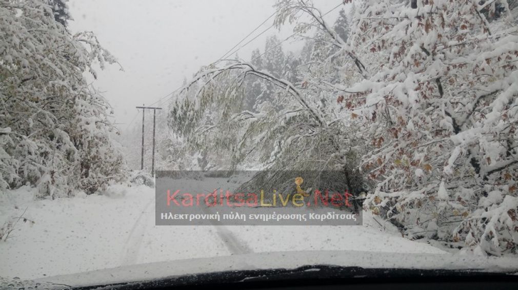 Καιρός ν. Καρδίτσας: Χιονοπτώσεις στα ορεινά φέρνει τη Δευτέρα ο "Τηλέμαχος" - Την Τετάρτη (9/1) νέος γύρος χιονοπτώσεων