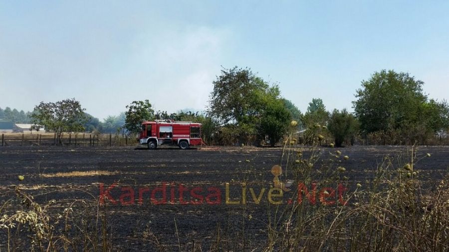 Σε εξέλιξη φωτιά σε χαμηλή βλάστηση στην περιοχή της Παπαράντζας (+Φώτο)