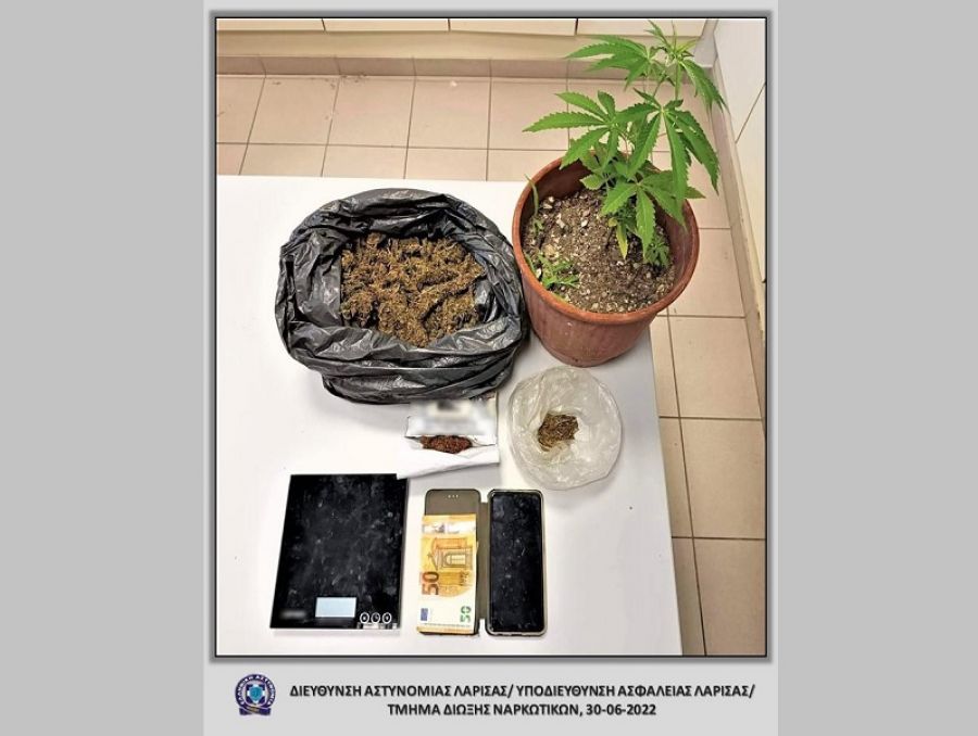 Σύλληψη άνδρα στην ευρύτερη περιοχή της Ελασσόνας για κάνναβη