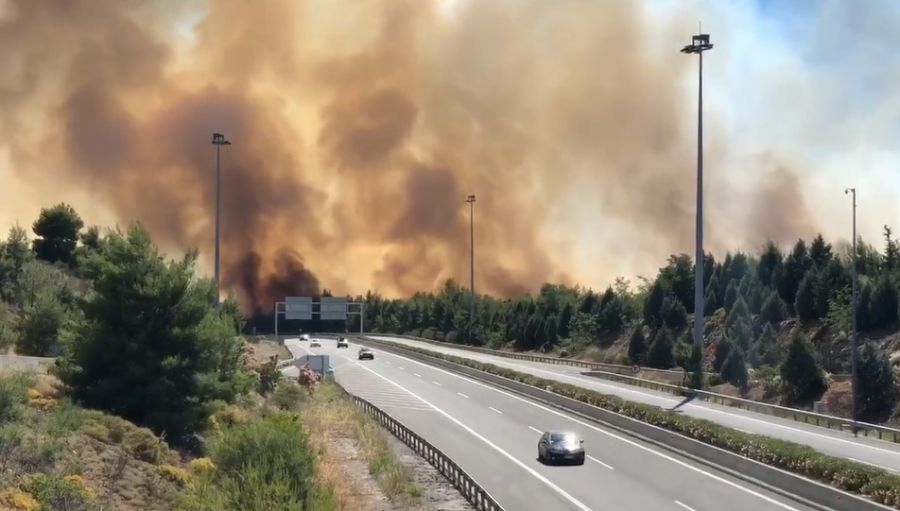 Φθιώτιδα: Υπό πλήρη έλεγχο η πυρκαγιά στο Μαρτίνο (+Φώτο +Βίντεο)