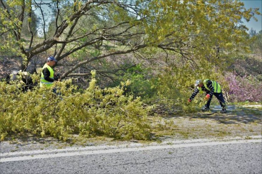 Θεσσαλονίκη: Πτώσεις δεκάδων δέντρων και πινακίδων από τους ισχυρούς ανέμους μέχρι και 8 μποφόρ