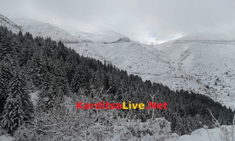 Πυκνές χιονοπτώσεις σημειώθηκαν στα ορεινά της Καρδίτσας