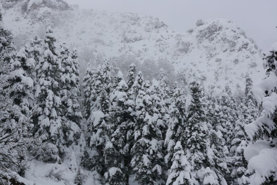 Έρχεται &quot;χιονοθάψιμο&quot; στα ορεινά της Καρδίτσας - Μεγάλη προσοχή στα πεδινά από τις ισχυρές βροχοπτώσεις που αναμένονται