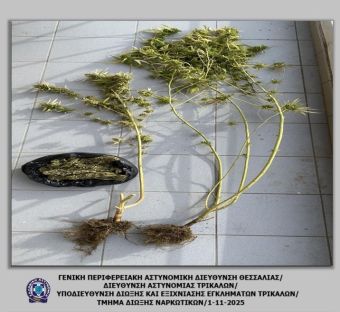 Τρίκαλα: Καλλιεργούσε κάνναβη στο μπαλκόνι του!