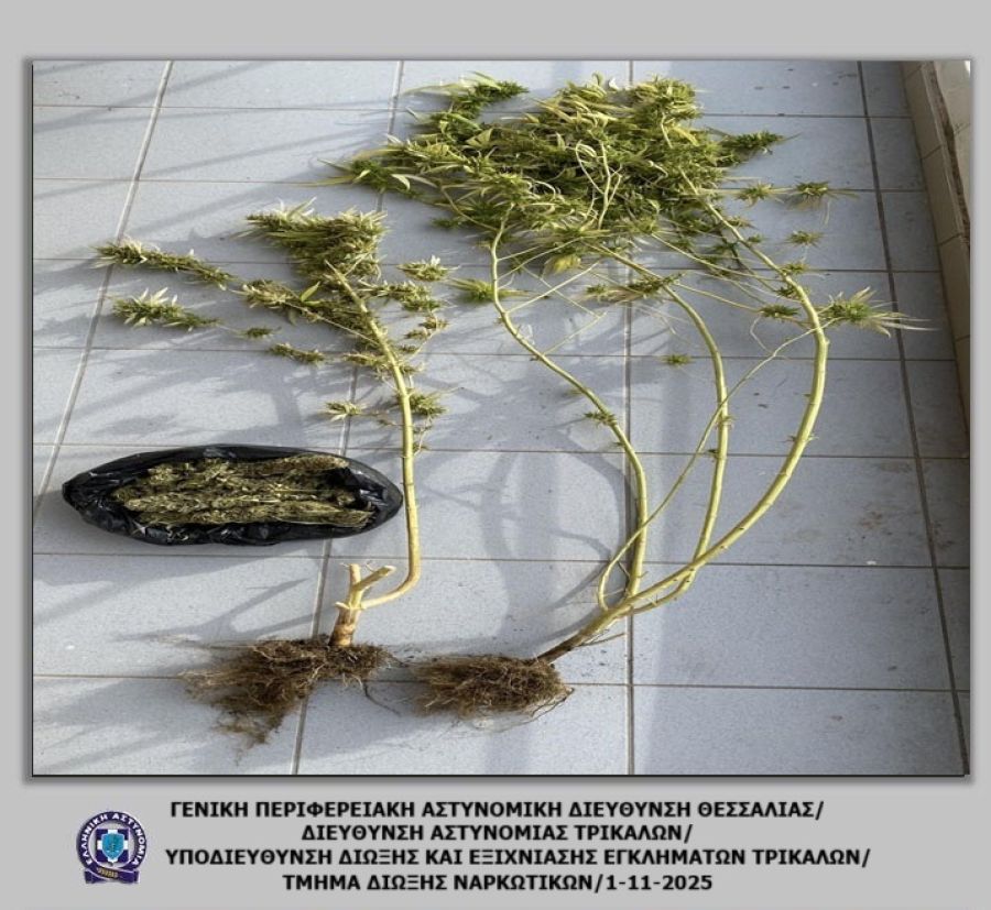 Τρίκαλα: Καλλιεργούσε κάνναβη στο μπαλκόνι του!
