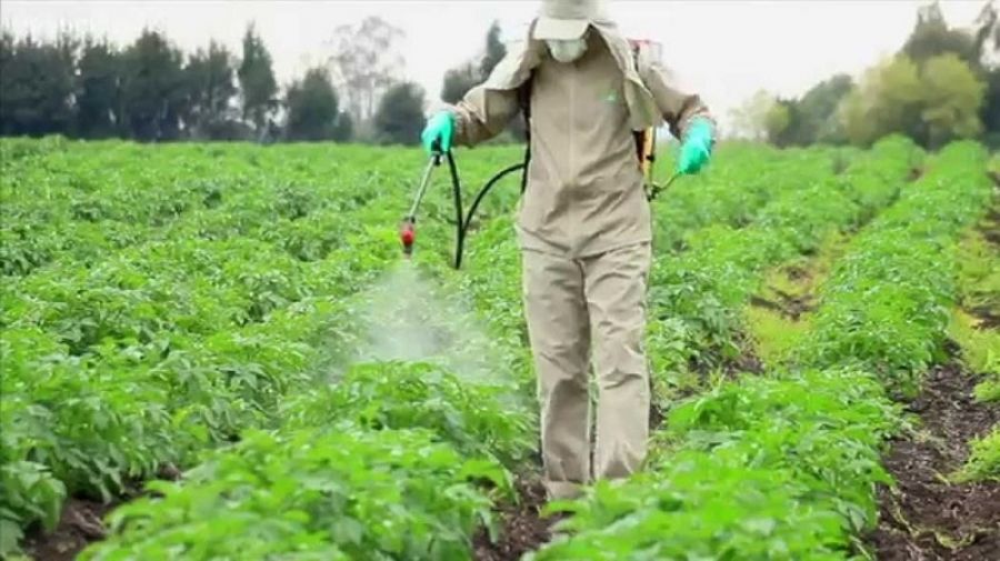 Γεωπόνος Αρ. Ζαφείρης: "Πλεονεκτήματα χημικών ζιζανιοκτώνων έναντι βιολογικής γεωργίας"