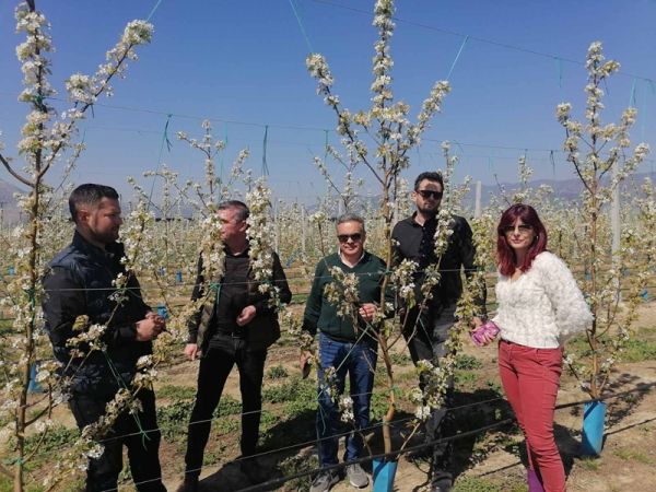 Ο Αντιπεριφερειάρχης Πρωτογενούς Τομέα και Αγροτικής Οικονομίας Δημ. Τσέτσιλας στις παγετόπληκτες περιοχές