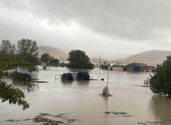Πολλές οι ζημιές στα παραποτάμια χωριά των Φαρσάλων - "Έσπασε" ο Ενιπέας (+Βίντεο)