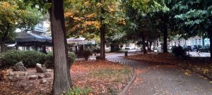 Δίκτυο αλληλεγγύης: Βιοκλιματικές» Αναπλάσεις ΕΣΠΑ: Το «Πράσινο Ξέπλυμα» που τσιμεντοποιεί τις πόλεις μας – Το παράδειγμα της πλατείας Στρατολογίας στην Καρδίτσα