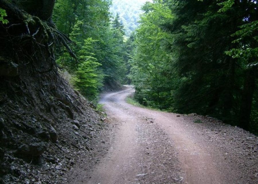 Νεκρός ξυλοκόπος σε ορεινή Κοινότητα του Δήμου Πύλης