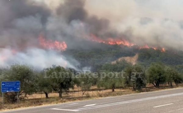 Μάχη με τις φλόγες στη Μακρακώμη (+Βίντεο)