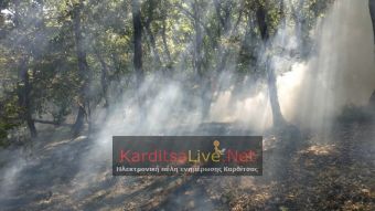 Ελέγχθηκε άμεσα επικίνδυνη πυρκαγιά σε δάσος πάνω από το Μαυρομμάτι (+Φώτο +Βίντεο)