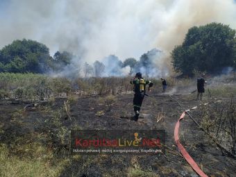 Πυρκαγιά σε χορτολιβαδική έκταση απέναντι από το Μουσικό Σχολείο Καρδίτσας (+Φώτο +Βίντεο)