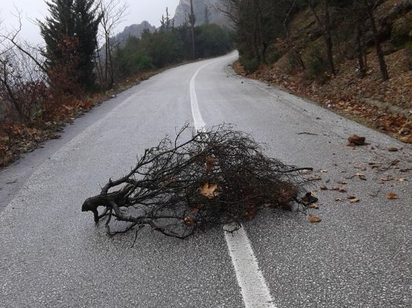 Περιβαλλοντική - Οικολογική Παρέμβαση: «Επικινδυνότητα λόγω πετροπτώσεων στο δρόμο Μουζάκι - Πορτή»