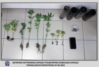 Συνελήφθη άνδρας στην ευρύτερη περιοχή της Λάρισας για κάνναβη