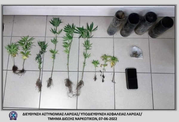 Συνελήφθη άνδρας στην ευρύτερη περιοχή της Λάρισας για κάνναβη
