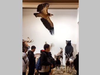 Εκπαιδευτική επίσκεψη του 6ου Γυμνασίου Καρδίτσας  στο «Μουσείο Φυσικής Ιστορίας και Μανιταριών Μετεώρων» και στο «Μουσείο Τσιτσάνη» στα Τρίκαλα