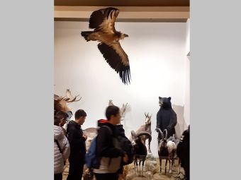 Εκπαιδευτική επίσκεψη του 6ου Γυμνασίου Καρδίτσας στο «Μουσείο Φυσικής Ιστορίας και Μανιταριών Μετεώρων» και στο «Μουσείο Τσιτσάνη» στα Τρίκαλα
