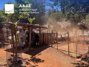 ΑΑΔΕ: Πρώτος μαζικός επιτόπιος έλεγχος για αγροτικές επιδοτήσεις: 195 κτηνοτρόφοι ελέγχθηκαν στην Κρήτη