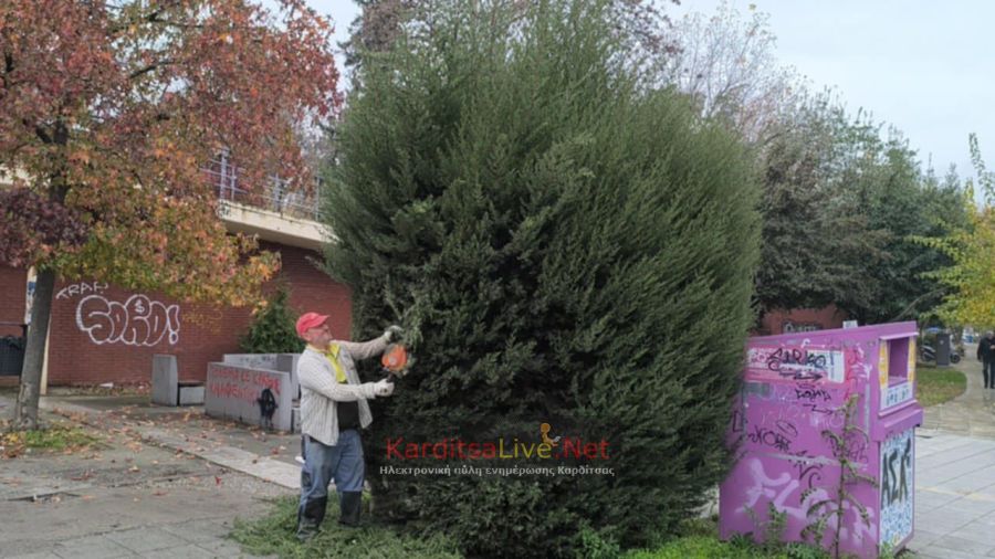 Με εντατικούς ρυθμούς ο καλλωπισμός στο άλσος Παυσιλύπου – Αναμένονται σήμερα (3/12) τα πρώτα σπιτάκια του θεματικού πάρκου (+Φωτο +Βίντεο)