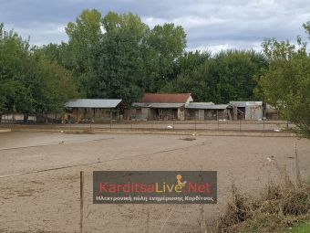 Αποζημιώσεις "Ιανού": Στο υπουργείο 840 ολοκληρωμένοι φάκελοι αγροτών και 54 κτηνοτρόφων του ν. Καρδίτσας