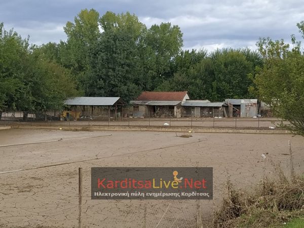 Αποζημιώσεις "Ιανού": Στο υπουργείο 840 ολοκληρωμένοι φάκελοι αγροτών και 54 κτηνοτρόφων του ν. Καρδίτσας