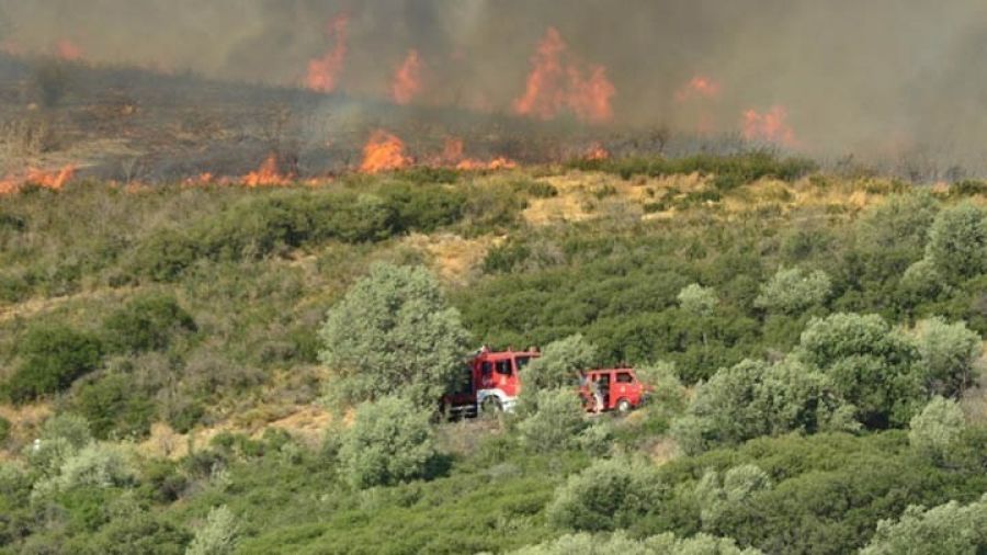 Πυρκαγιά στα Αργυραίικα Πηλίου