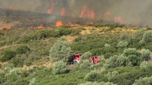 Πυρκαγιά στα Αργυραίικα Πηλίου