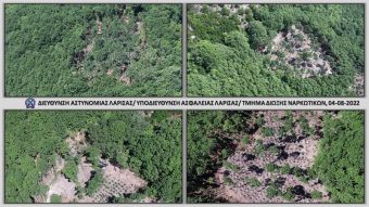 Εντοπίστηκαν τρεις μεγάλες φυτείες κάνναβης στην περιοχή της Αγιάς (+Φώτο)