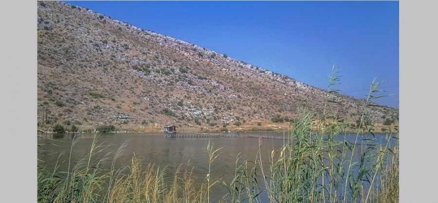 Αχαΐα: Νεκρός στη λίμνη Πάπα εντοπίστηκε 39χρονος άνδρας