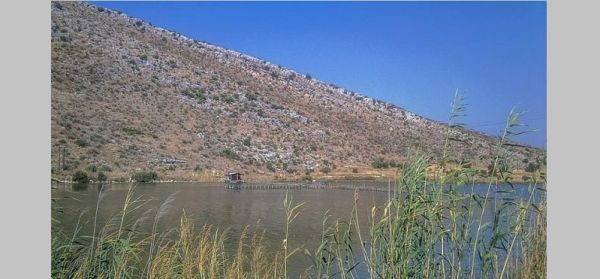 Αχαΐα: Νεκρός στη λίμνη Πάπα εντοπίστηκε 39χρονος άνδρας