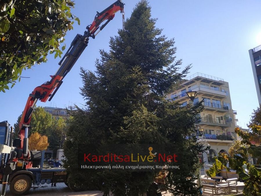 Τοποθετήθηκε στην κεντρική πλατεία της Καρδίτσας το Χριστουγεννιάτικο δέντρο (+Φώτο)