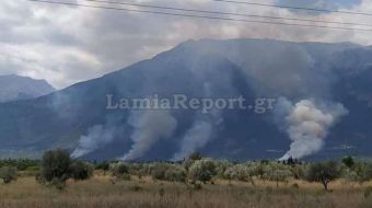 Νέα πυρκαγιά στη Φθιώτιδα μεταξύ Αμφίκλειας και Τιθορέας