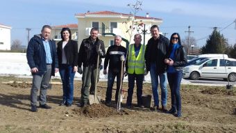 Φυτεύθηκαν δέντρα και φυτά στις Εργατικές Κατοικίες του ΟΑΕΔ