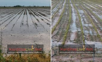 ΕΛΓΑ: Νέα πορίσµατα εκτίµησης των ζηµιών από καύσωνα και βροχόπτωση σε κοινότητες του Δήμου Καρδίτσας