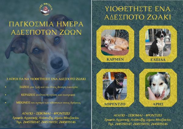 4 Απριλίου: Παγκόσμια Ημέρα Αδέσποτων Ζώων – Ο Δήμος Μουζακίου σας καλεί να υιοθετήσετε έναν τετράποδο φίλο