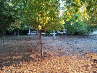 Συνεχίζονται εντατικά οι ψεκασμοί κατά των κουνουπιών στην Καρδίτσα (+Φώτο)