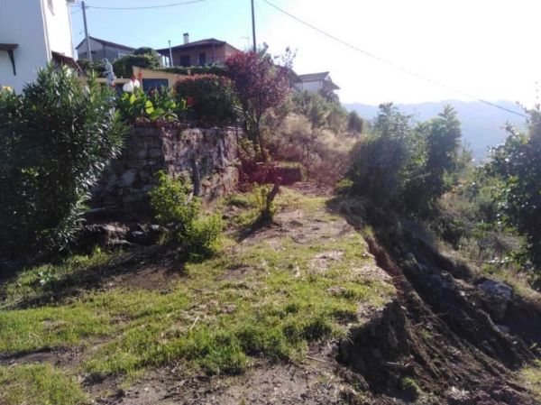 Επιστολή διαμαρτυρίας των κατοίκων του Φαναρίου προς τον Δήμαρχο Μουζακίου που αφορά στις ενέργειες της Δημοτικής Αρχής για τις καταστροφές από την κακοκαιρία Daniel