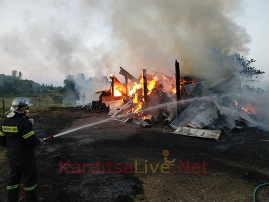 Καρδίτσα: Κάηκε ολοσχερώς αποθήκη με δέματα σε φάρμα αλόγων (+Φώτο +Βίντεο)