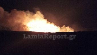 Ολονύχτια μάχη με τις φλόγες στο Πετρωτό Δομοκού