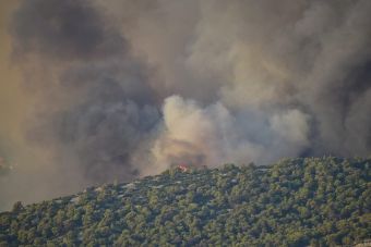 Πάρνηθα: Εθελοντές εντόπισαν κρανίο στα καμένα
