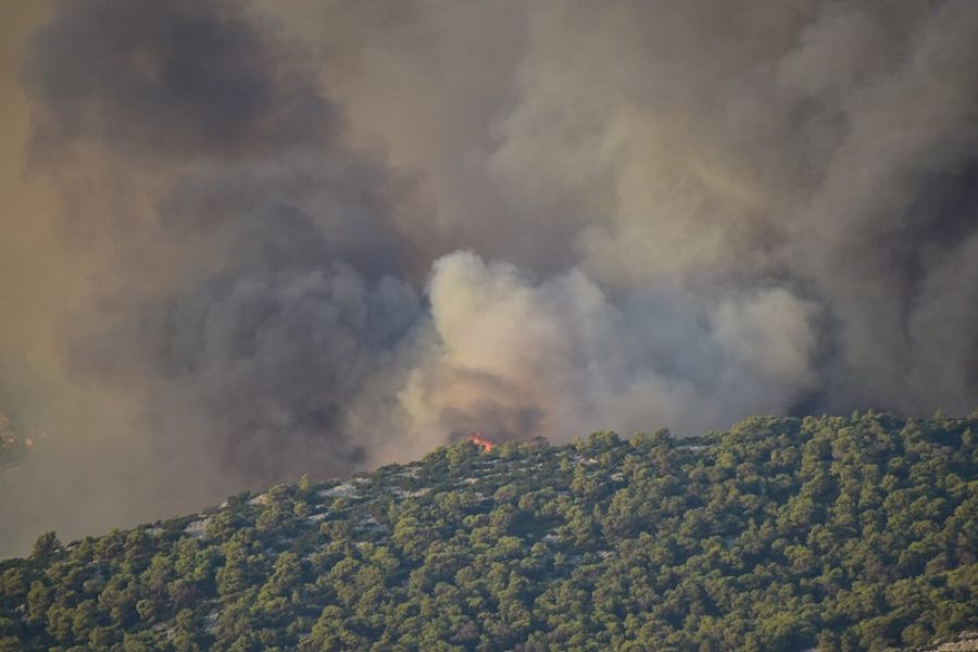 Πάρνηθα: Εθελοντές εντόπισαν κρανίο στα καμένα