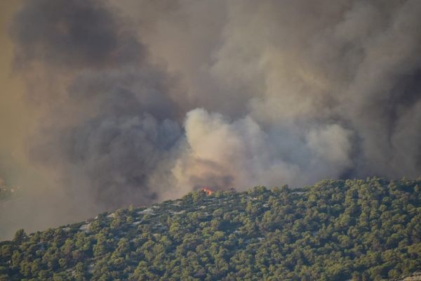 Πάρνηθα: Εθελοντές εντόπισαν κρανίο στα καμένα