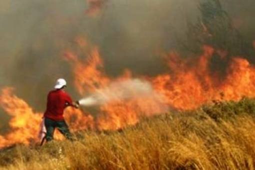 Στις 3.586 έφθασαν οι αιτήσεις των πυρόπληκτων στην Αττική