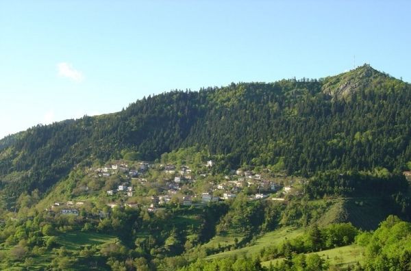 Εγκρίθηκε η δωρεά του ευαγούς ιδρύματος Καρτάλη για παρεμβάσεις σε Καστανιά και Μούχα