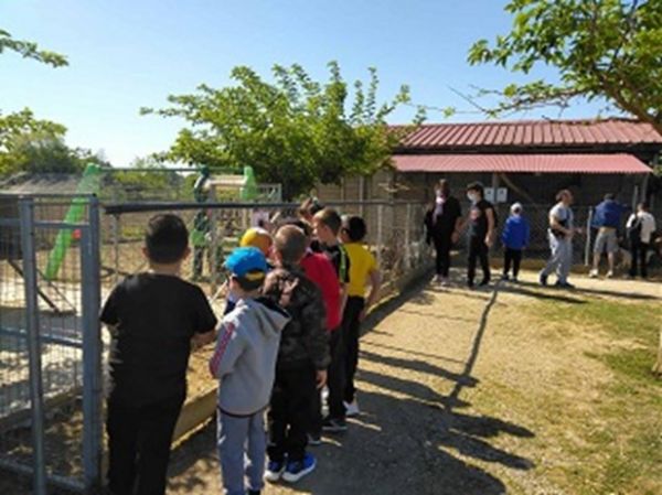 Επιμορφωτικές επισκέψεις μαθητών του Δημοτικού Σχολείου Καρδιτσομαγούλας