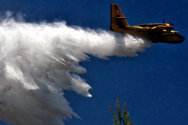 Οριοθετήθηκε η πυρκαγιά σε χαμηλή βλάστηση στη Δροσιά Χαλκίδας - Άντιμετωπίστηκε άμεσα φωτιά στον Ελαιώνα Θήβας